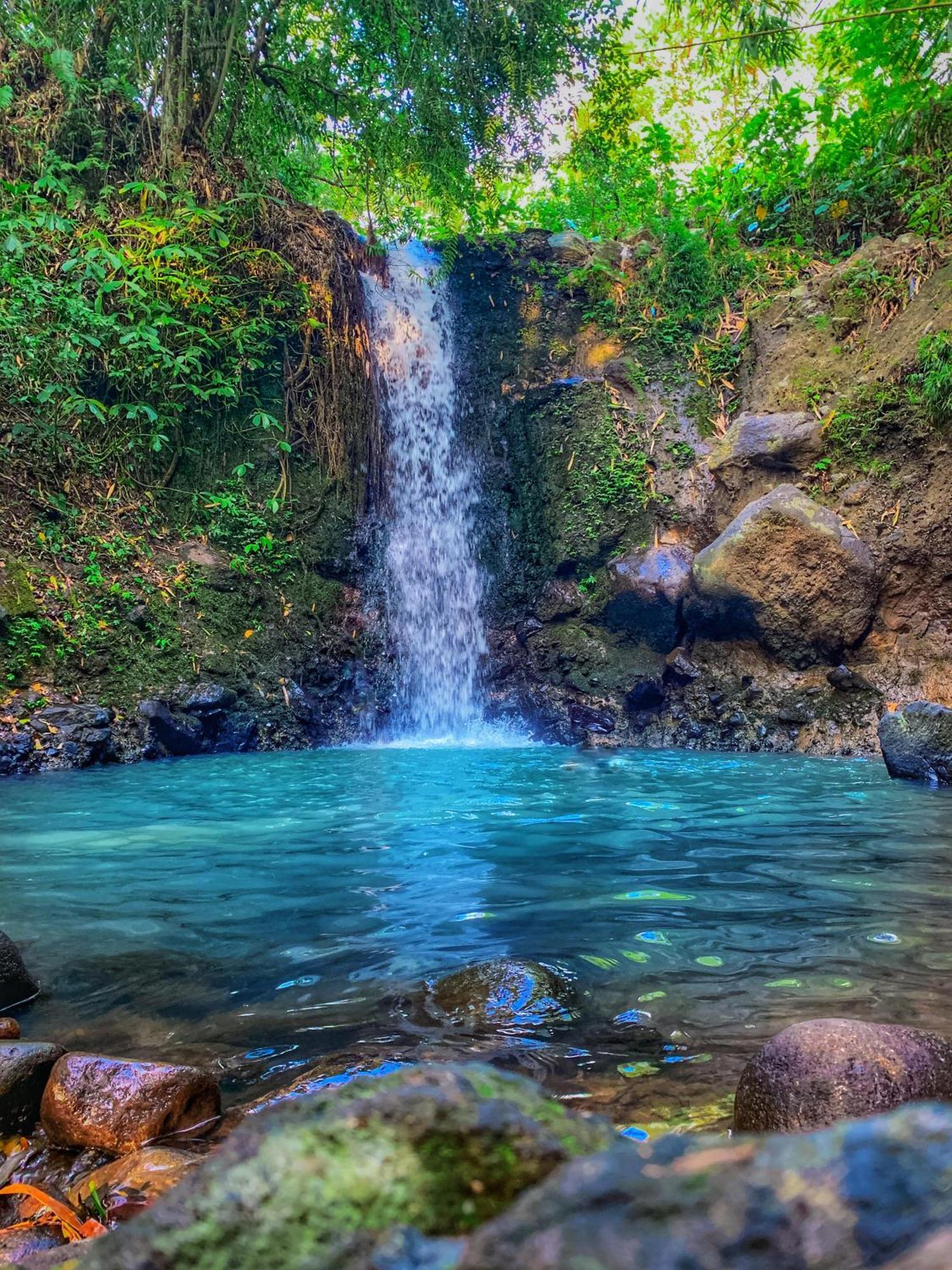 Clove Tree Hill Blimbing  Экстерьер фото